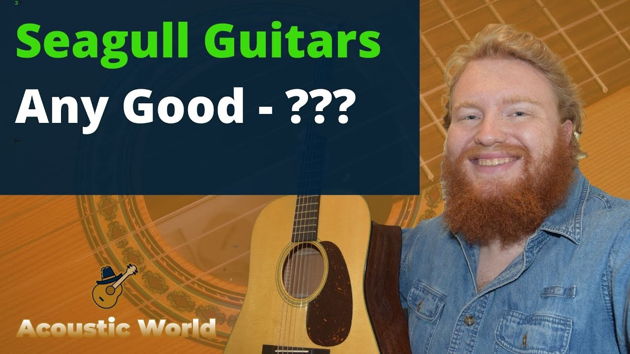 Are Seagull Guitars Good? Guide & FAQ