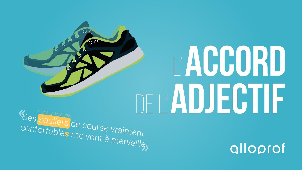 L'accord de l'adjectif | Français | Alloprof