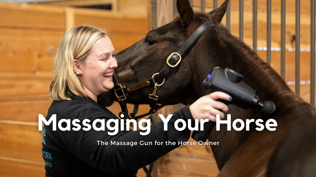 The Massage Gun for Horse Owners