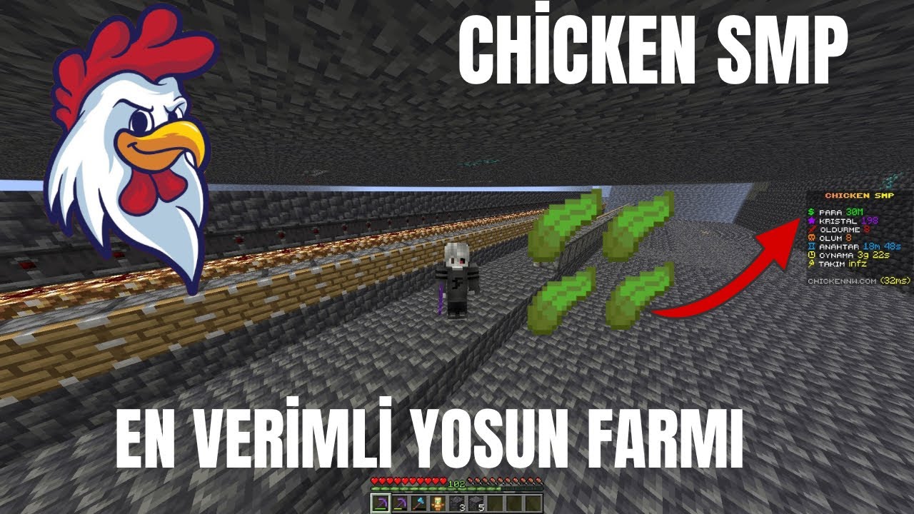 Chicken Smp En Verimli Yosun Farmı Yapımı