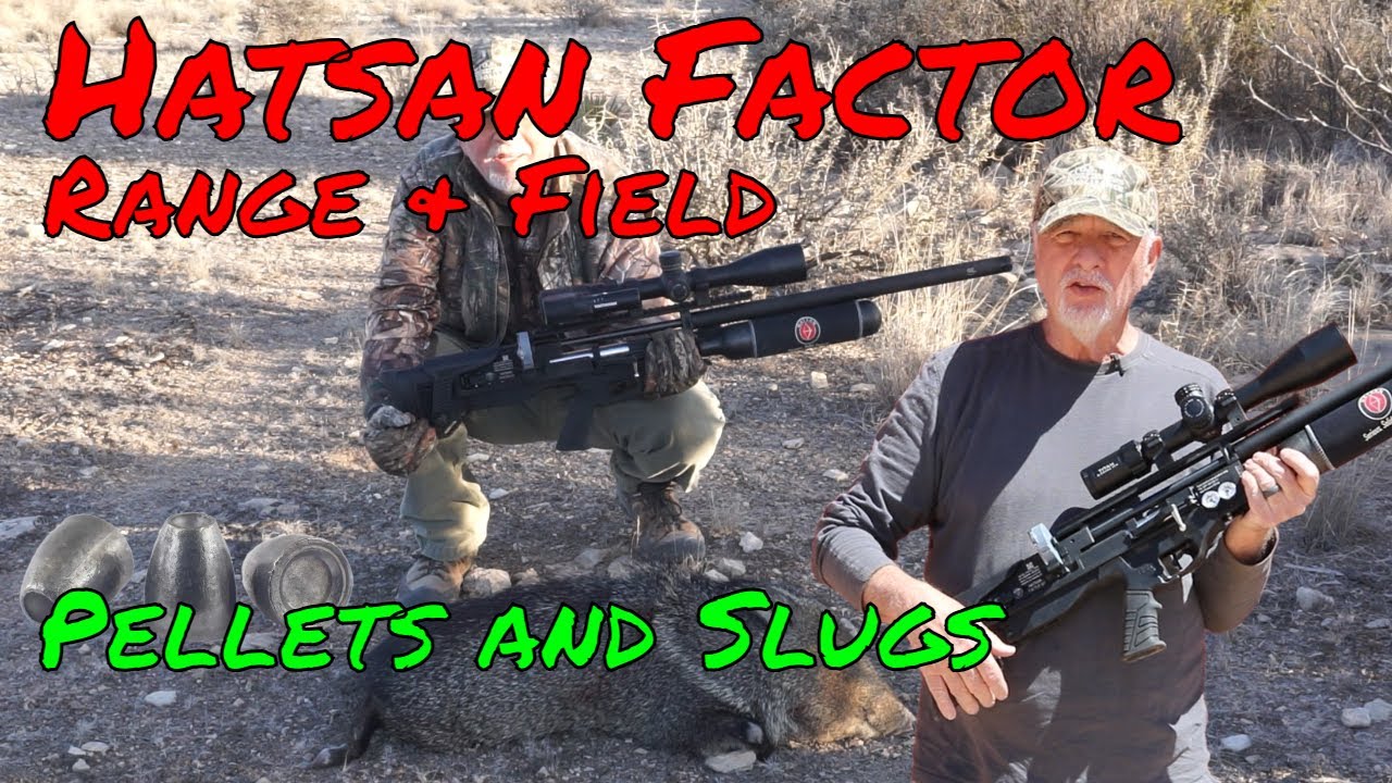 Hatsan Factor BP .30: Pellets or Slugs?