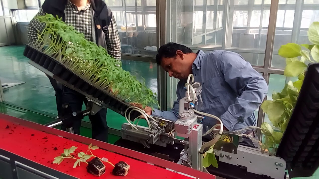 Automatic grafting machine