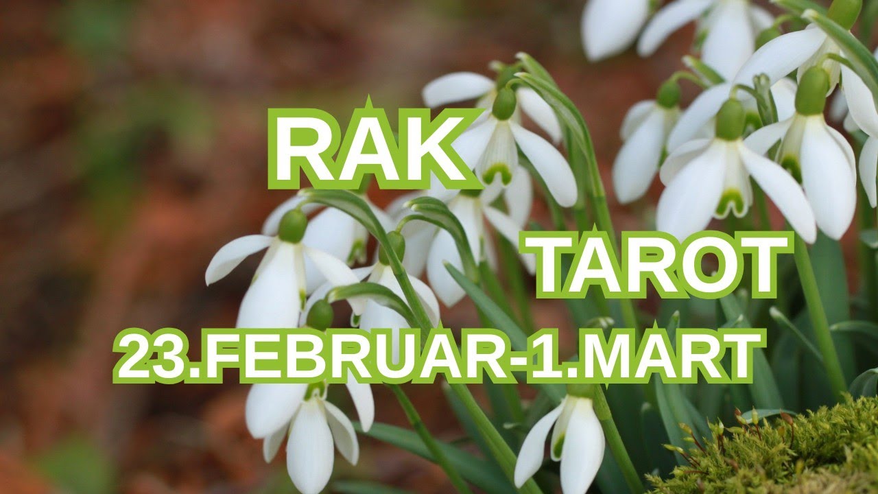 RAK ♋ Dosta je bilo - Prekidate toksičnu priču ❤️ 23.FEBRUAR-1.MART TAROT
