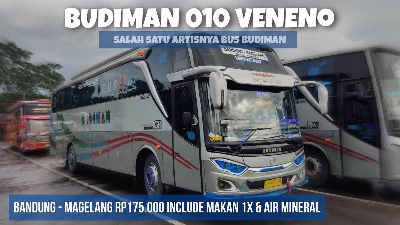 TRIP REPORT BUS BUDIMAN BANDUNG - MAGELANG ‼️ARTISNYA BUS BUDIMAN VENENNO 010 🐍