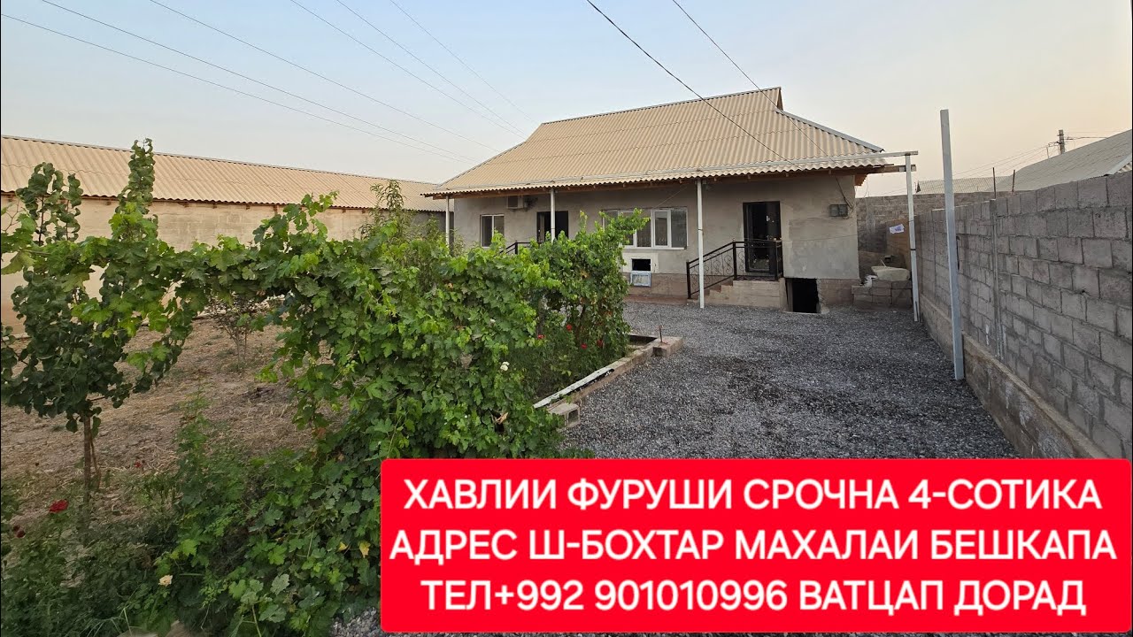 Хонахои фуруши ТЧ. Ш-БОХТАР ЧИСЛОИ 14,08,2025,СОЛ.