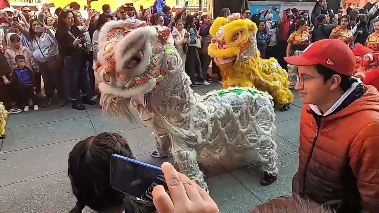 Desfile por el año nuevo chino CDMX - caballo de fuego 06/02/26.