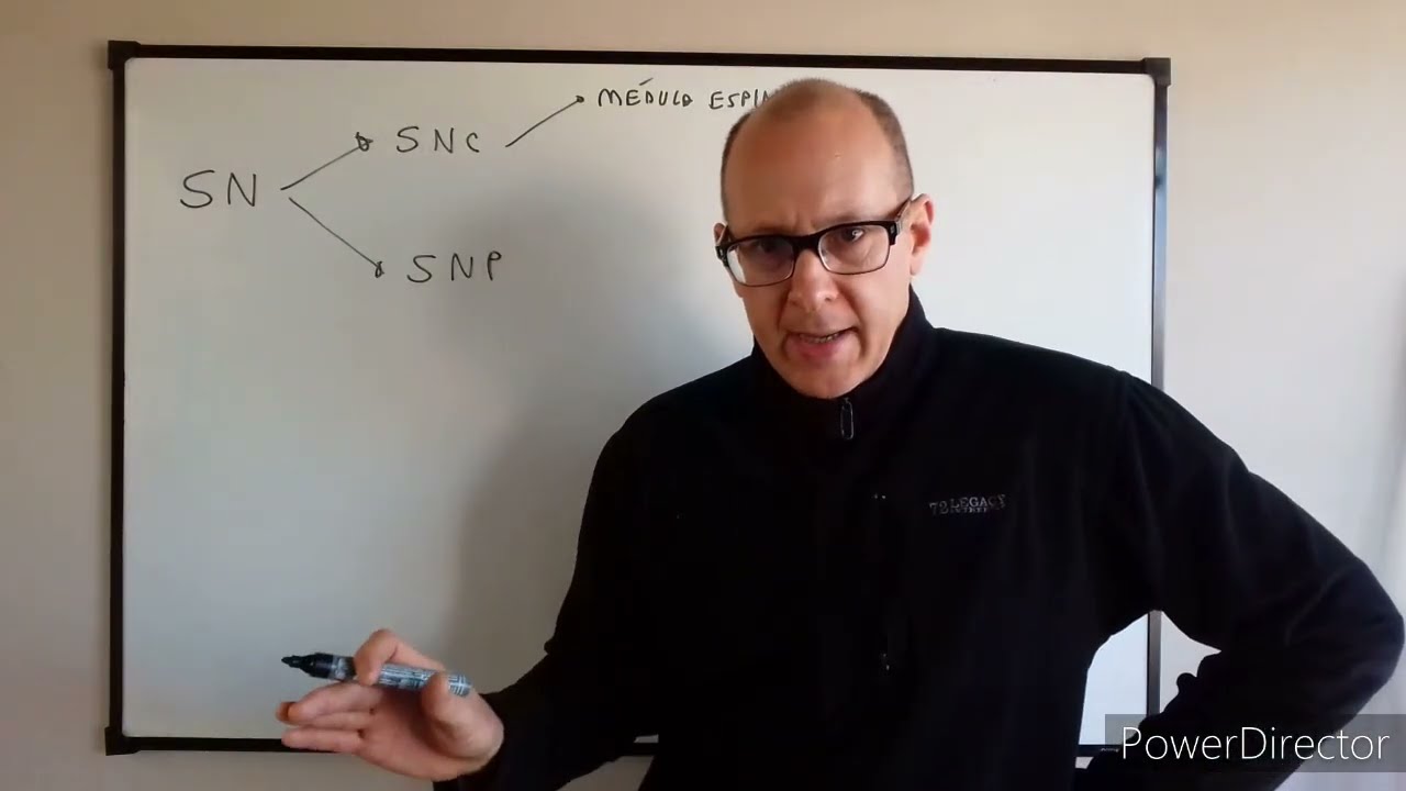 Teórico de sistema nervioso N°1 Introducción al estudio del sistema nervioso. Dr. Luciano Esborrat