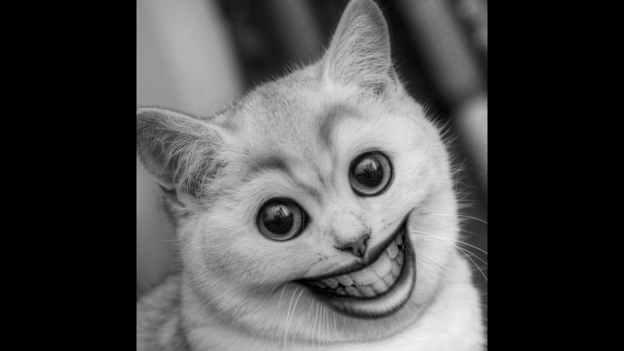 let's go arsha (PVP) korea NO.1 DK