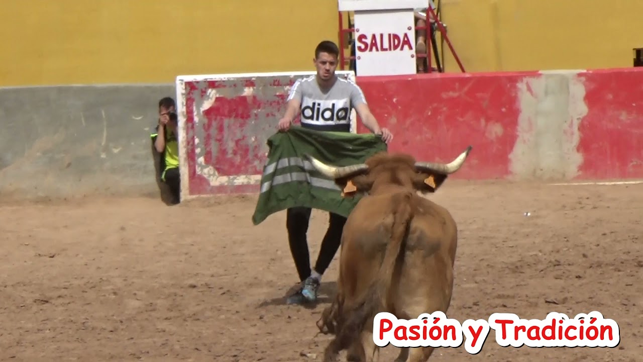 Capea cumpleaños David 