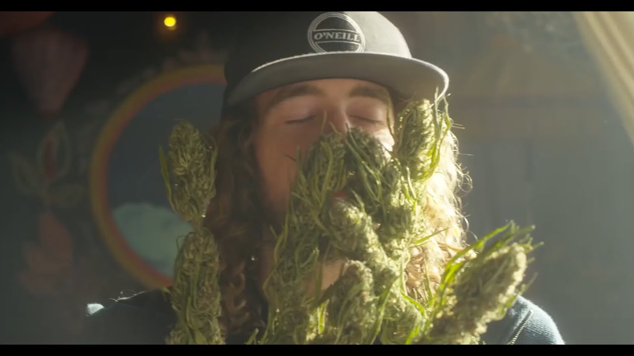 Outdoor Versus Indoor Flower at The Emerald Cup?!?