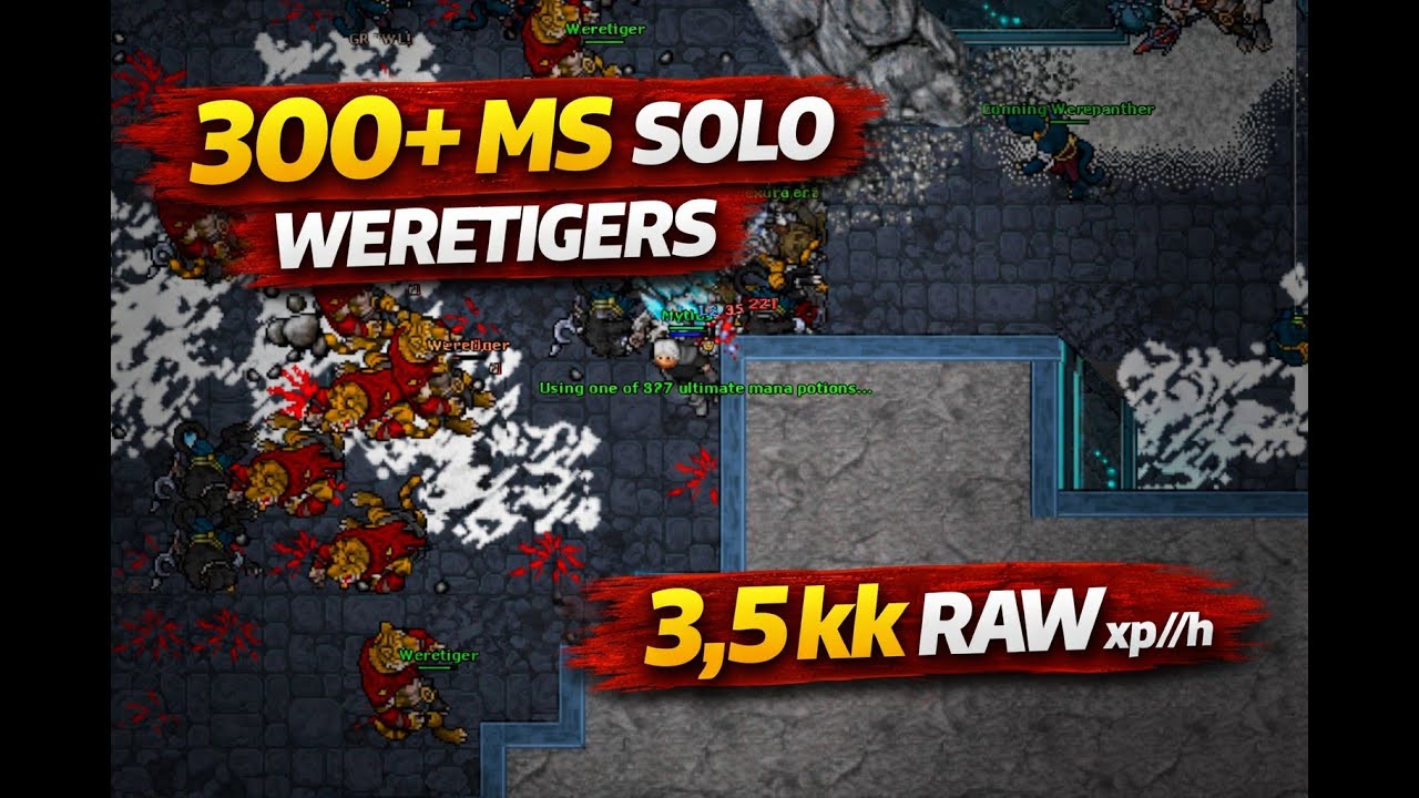 MS SOLO 300 + WERETIGERS 3,5 KK RAW xp /h