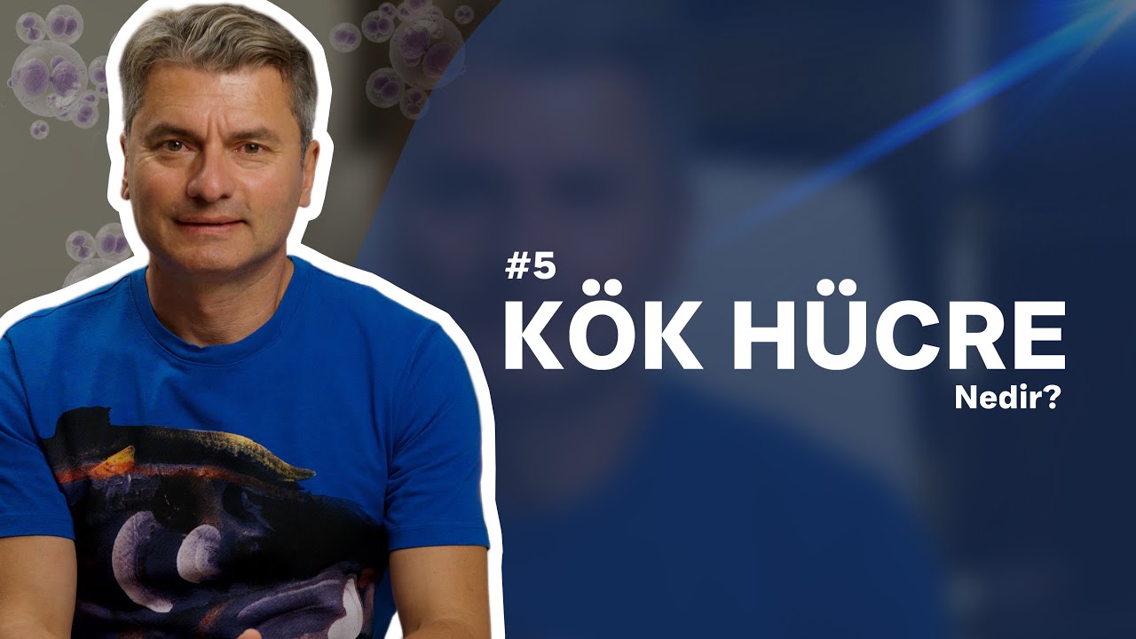 Kök Hücre Nedir? Tedavisi Nedir?