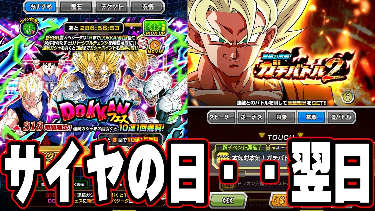 １日遅れのチケット回収して１セットだけガシャ引こか【ドッカンバトル】【DRAGONBALL Z Dokkan Battle】