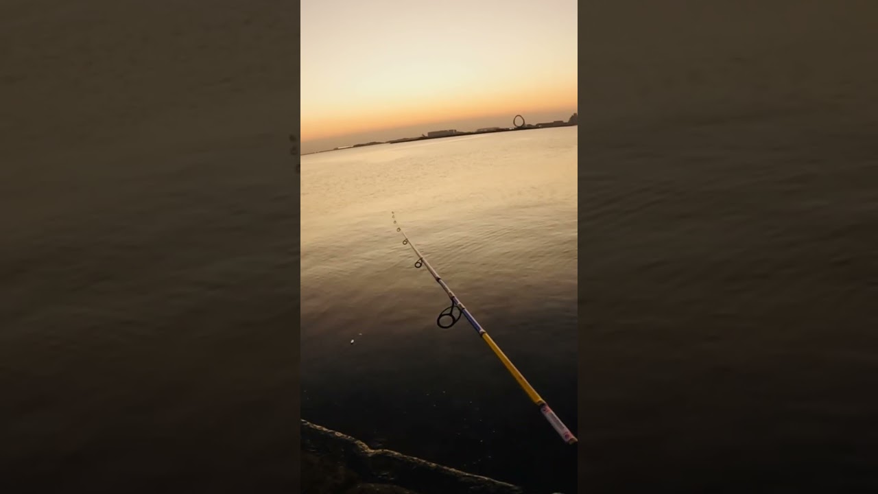Barracuda | Fishing in Qatar | Shore Casting