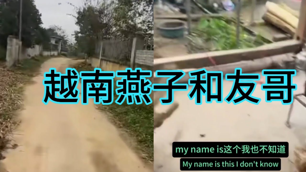 越南燕子和友哥