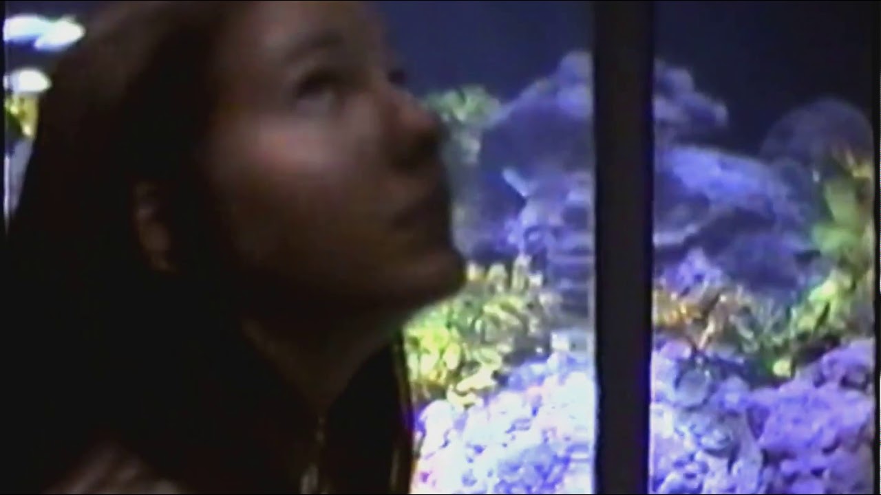 Sea World of Ohio - We would visit Sea World every year.