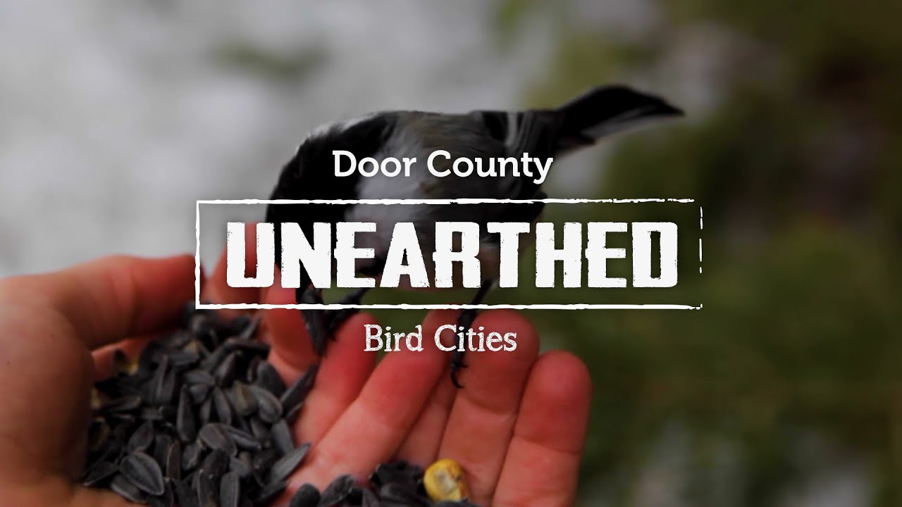 Bird City Wisconsin  |  Door County Unearthed