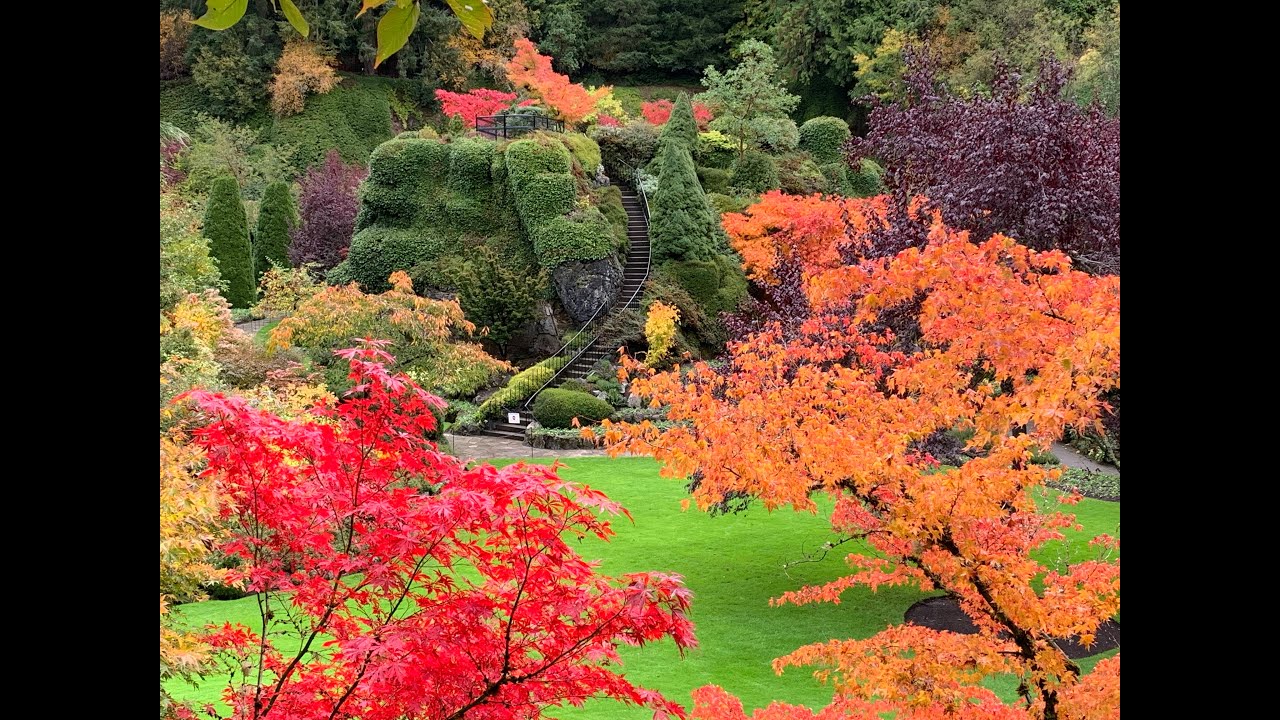 Fall Colours in the Butchart Gardens on October 17, 2021 || Victoria, BC, Canada