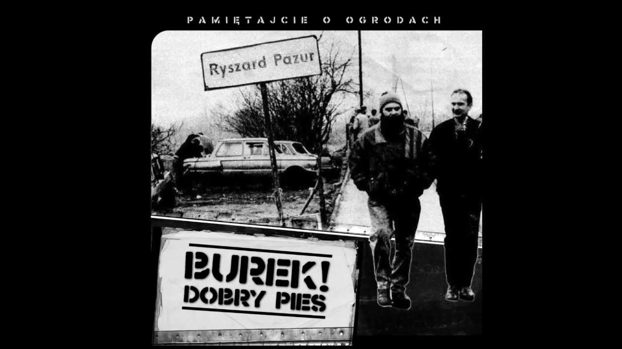Burek! Dobry pies - BDP