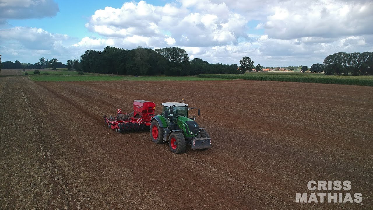 ZWISCHENFRUCHT I HORSCH PRONTO 6DC I FENDT VARIO 828 I KRESSEMIX