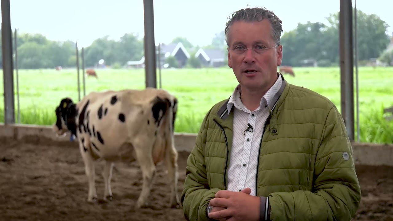 VrijLevenStal concept met zandbodem | Hanskamp