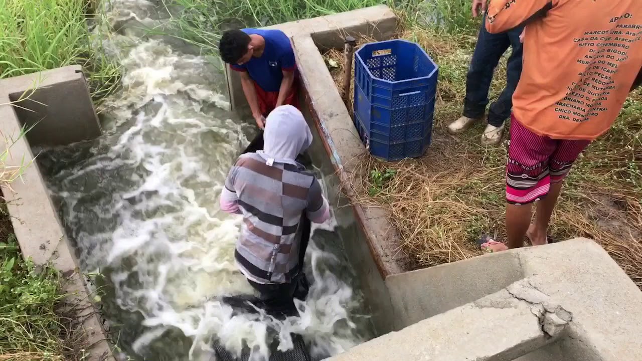 Pesca camarão 11 gramas JUREMA/JAGUARUANA CE
