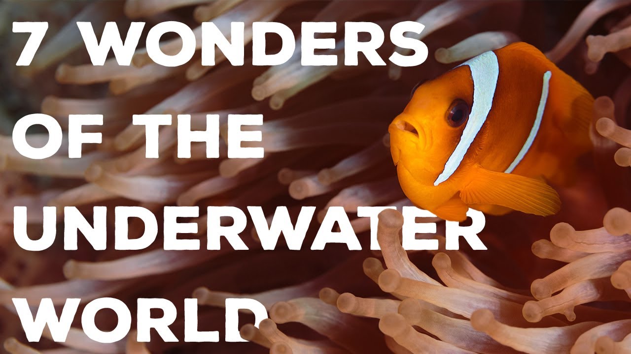 7 Wonders of the Underwater World