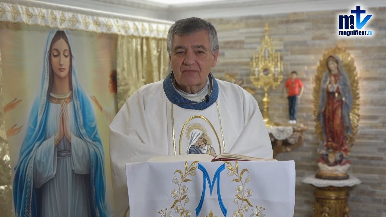 “Salud de los Enfermos, Ruega Por Nosotros” | Hom. Virgen María de Lourdes (11-02-2026) | P Santiago