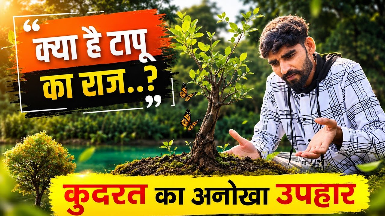 कुदरत का अनोंखा उपहार | Neture | Banswara | Vithaldev Banswara Netural View Point | Anil Vadakhiya🍃🌺