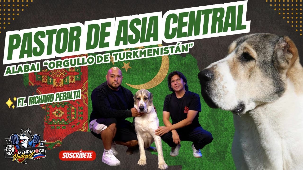 Pastor de Asia Central 