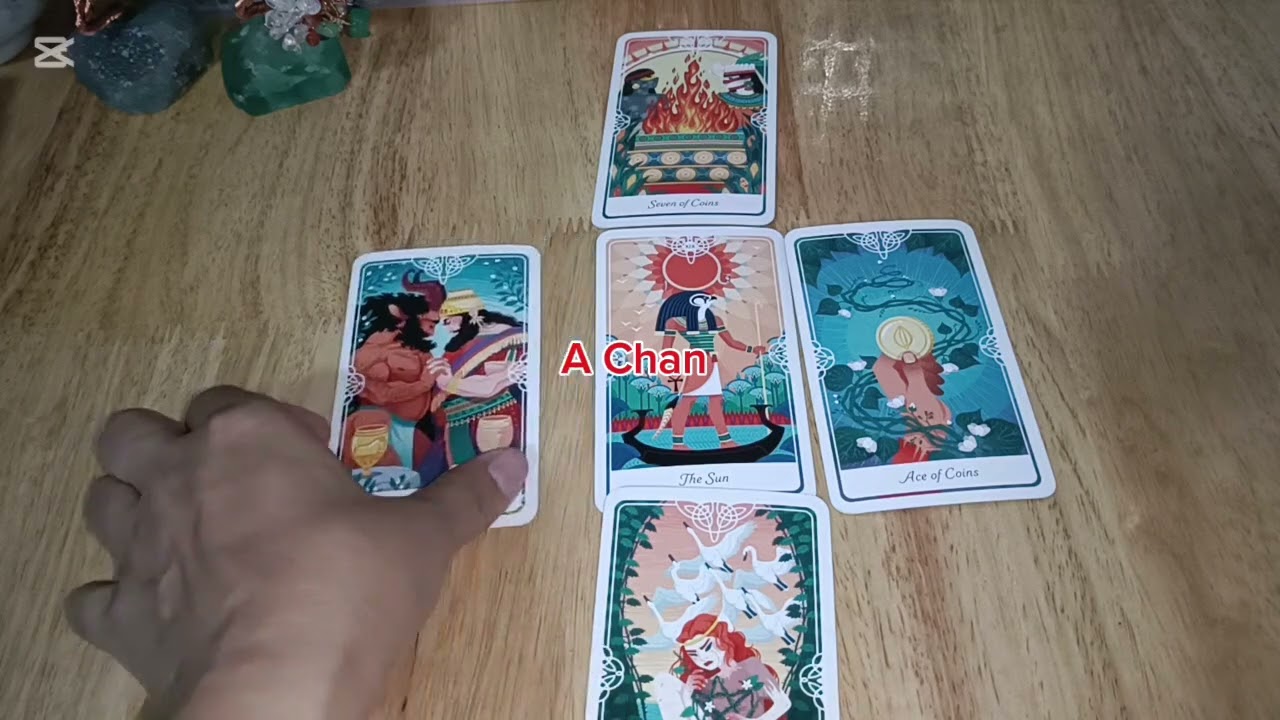 Ep19.1 ស្នេហានិងកិច្ចមួយចំនួនក្នុងសប្តាហ៍នេះ🧬💞🛬🥂🎊