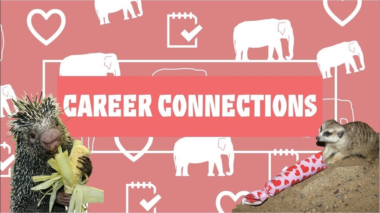 Career Connections: Animal Keeper - Enrichment