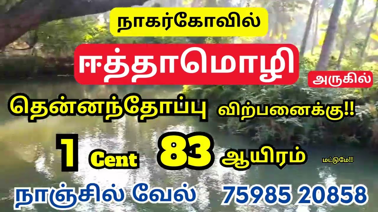 ஈத்தாமொழி அருகில் தென்னந்தோப்பு Low budget thoppu for Sale in nagercoil #thoppu #nagercoilrealestate
