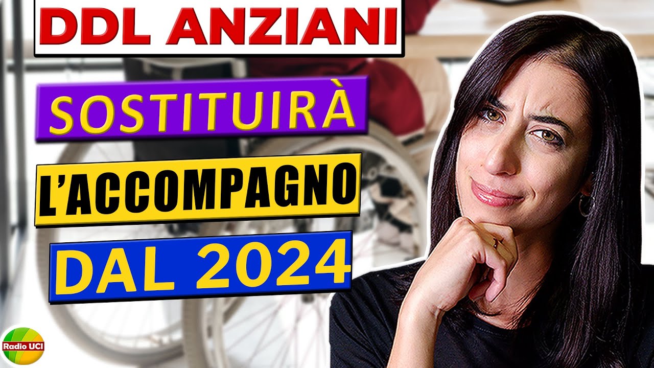 DDL anziani e 