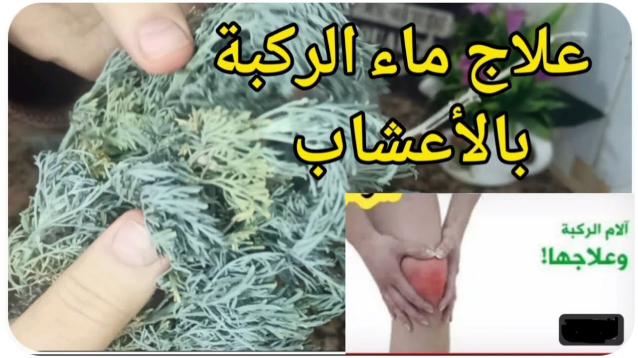 #أم_شاهين 📢علاج الماء في الركبة بالأعشاب #الماء_في_الركبة #الركبة على طريقة جدودنا والنتيحة 💯👌