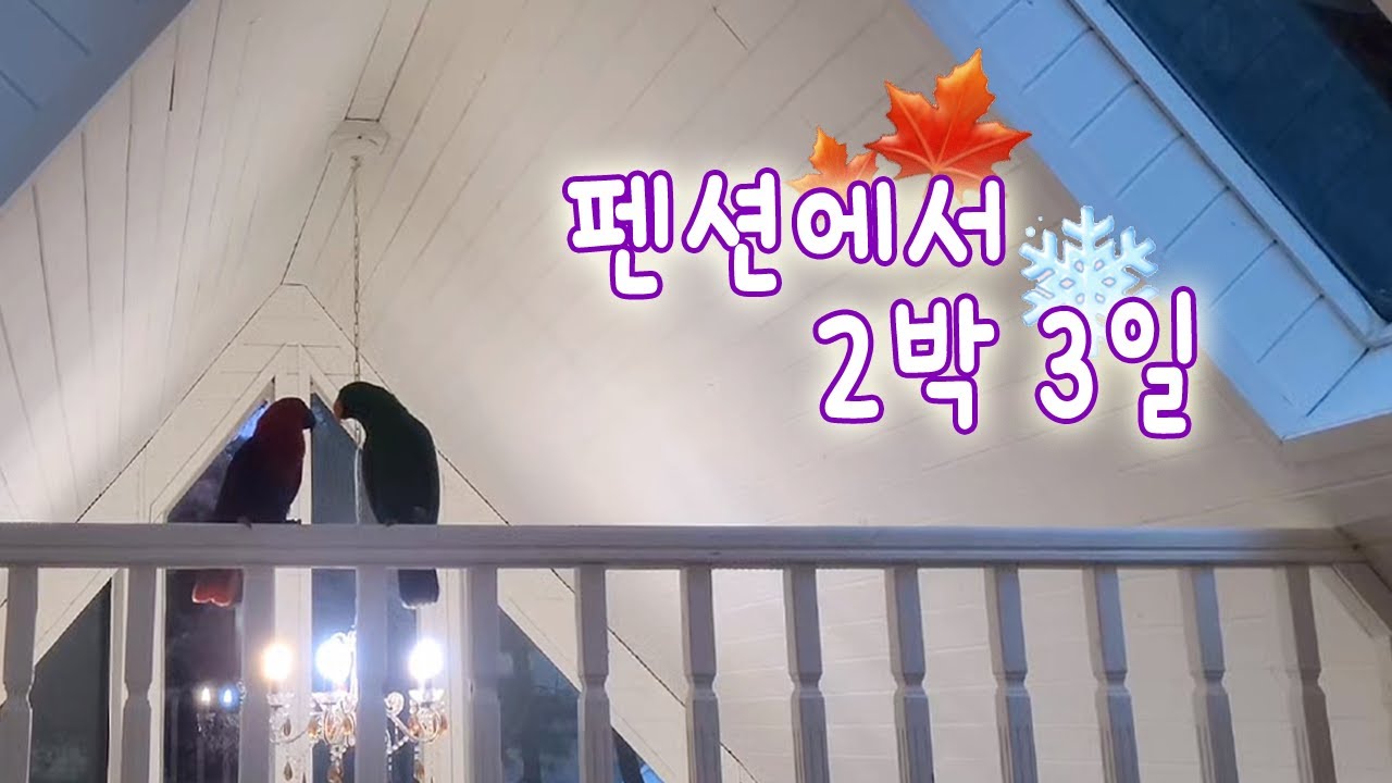 [지구젤리/일상] 가을🍁과 겨울❄️ 사이, 펜션에서 2박 3일