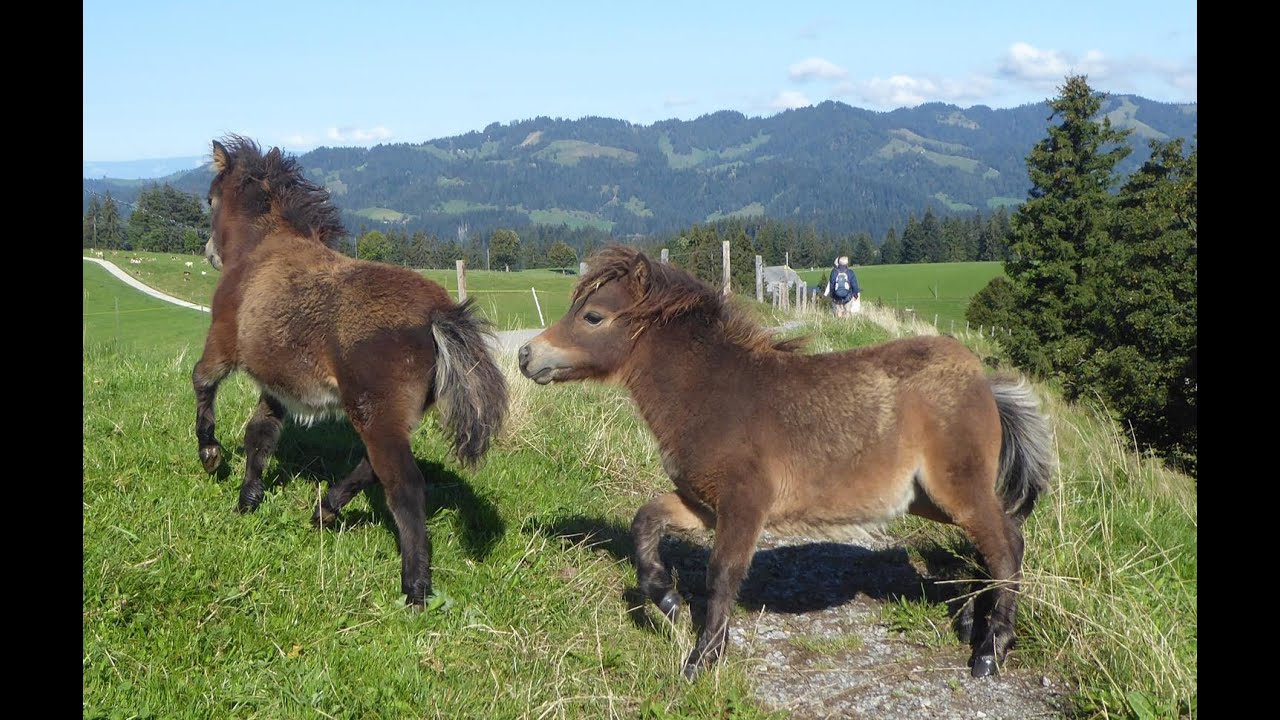 Escholzmatt - Bockshorn - Trubschachen (LU/BE) / 24.09.23