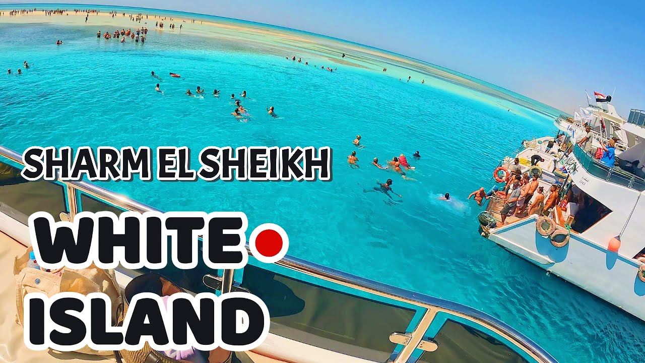 White Island--Sharm El Sheikh  Eng/Ger/Pl Subtitels 🇪🇬#216