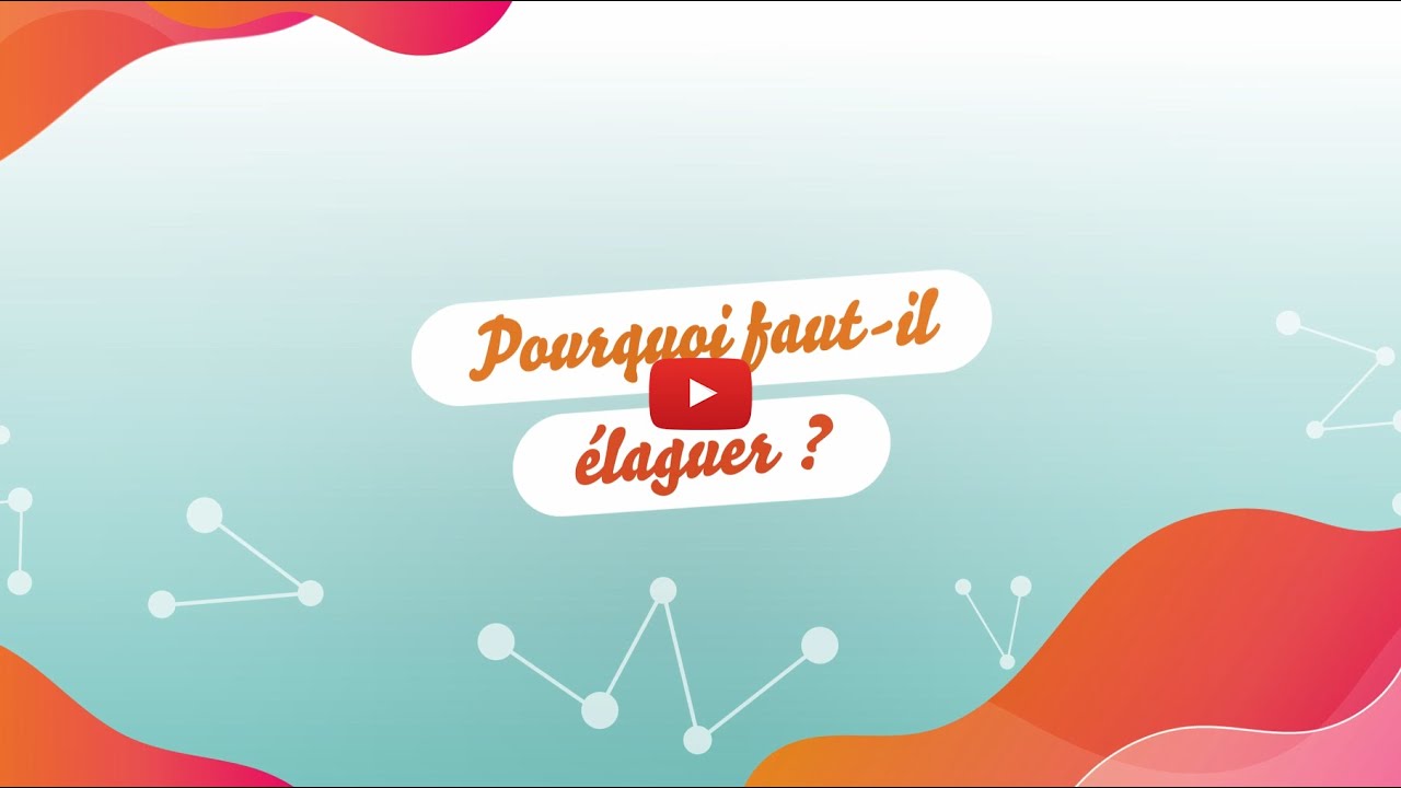 Pourquoi faut-il &eacute;laguer ?