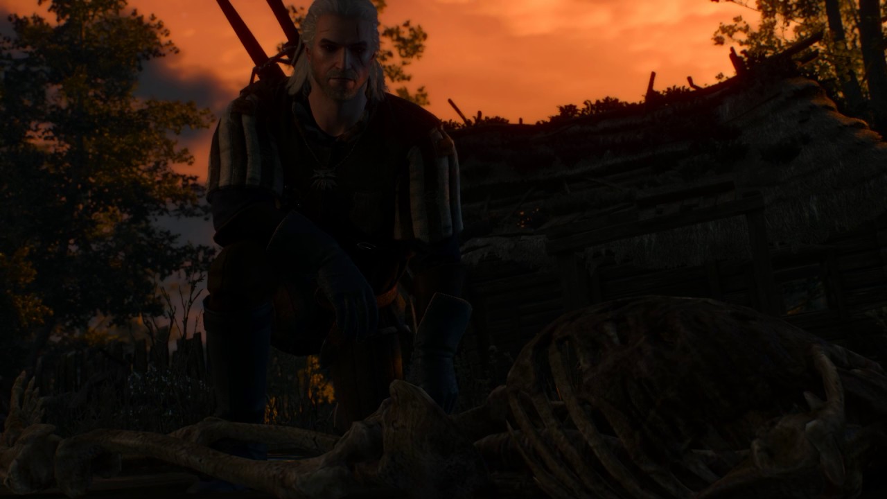 The Witcher III 20170110 210907