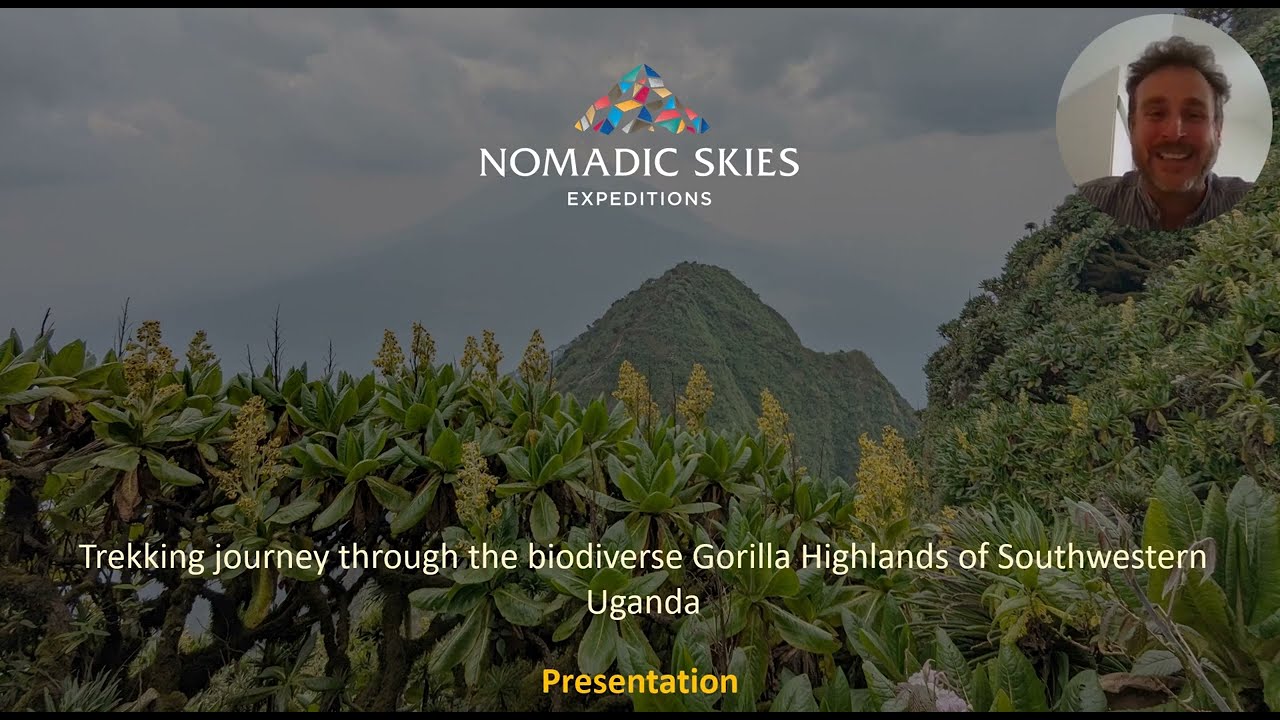 Trekking journey in the Gorilla Highlands of Southwestern Uganda