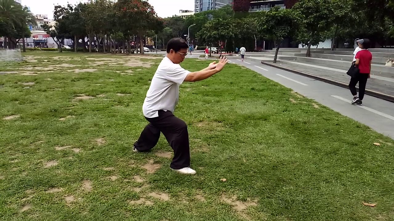 陳38招式示範說明