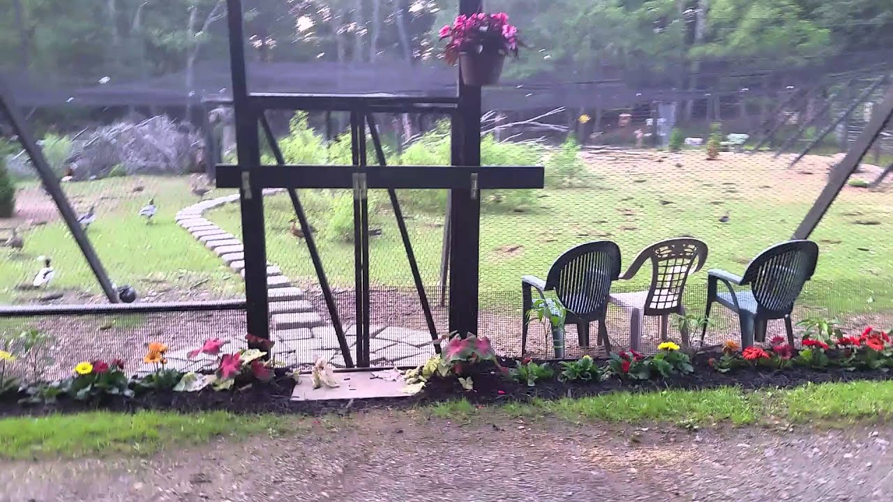 Sullins duck aviary
