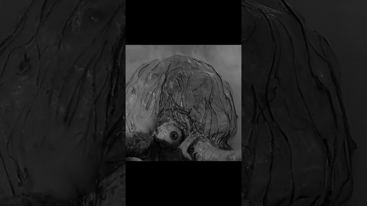 The Trollenberg Terror (1958) PizzaFLIX TEASER🍕 THE CRAWLING EYE