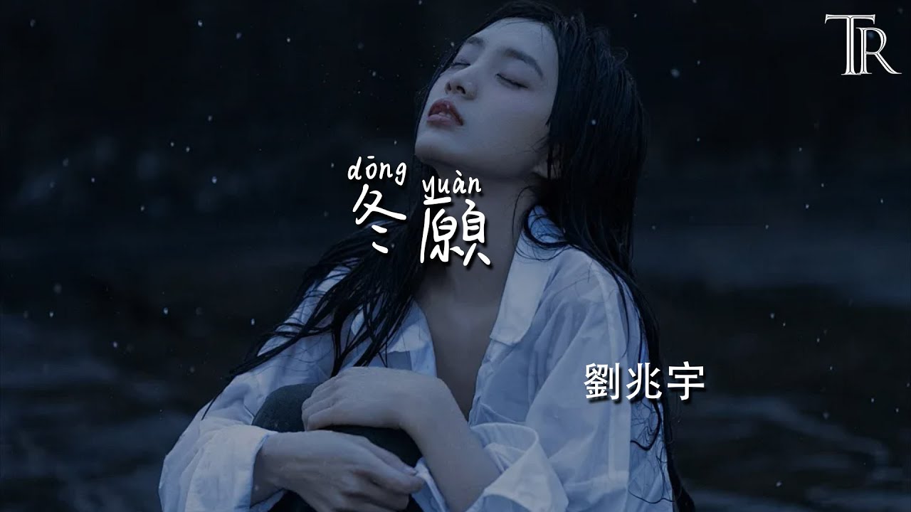 冬願 - 劉兆宇『Dong Yuan - Liu Zhao Yu』#無損音樂