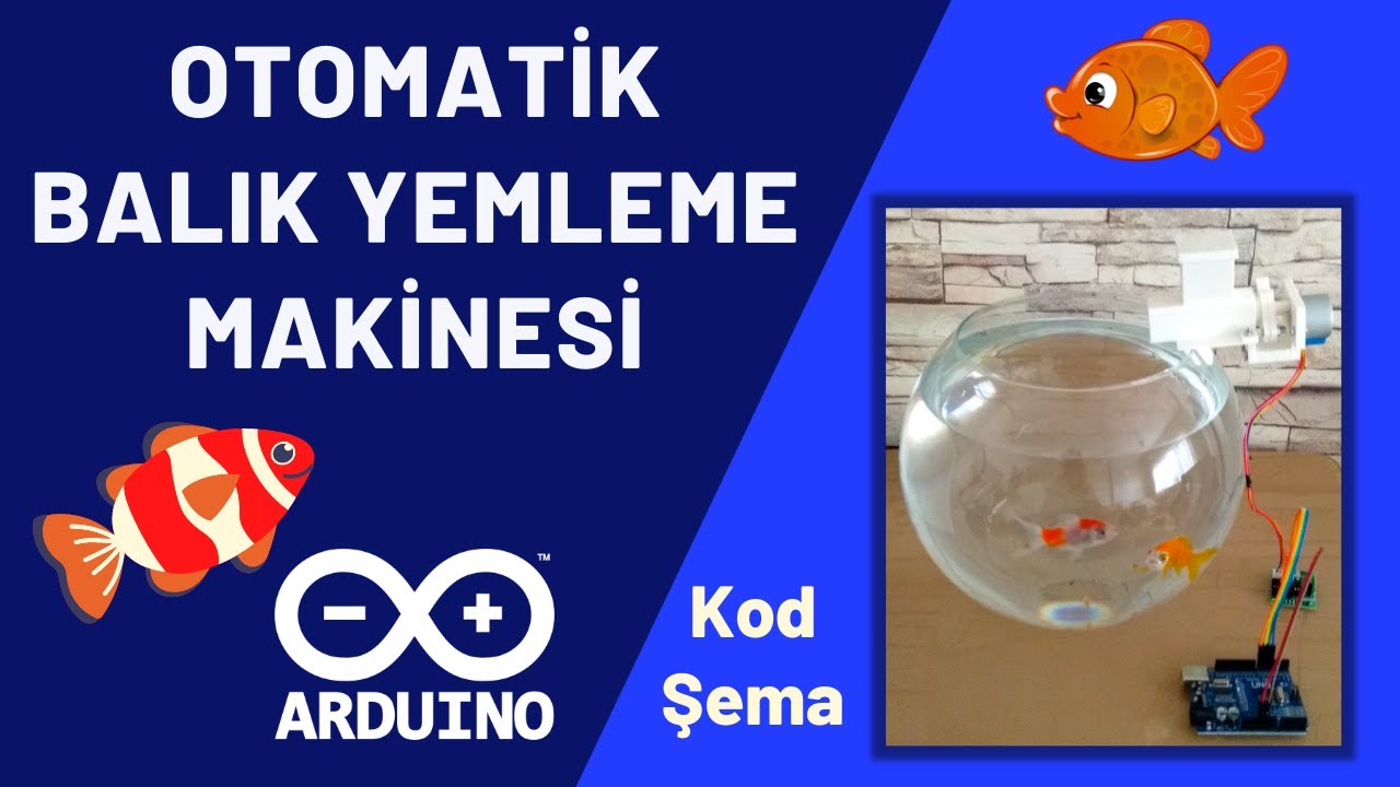 Otomatik Balık Yemleme Makinesi | Arduino İle Balık Besleme Sistemi Yapımı | (Kod + Şema)