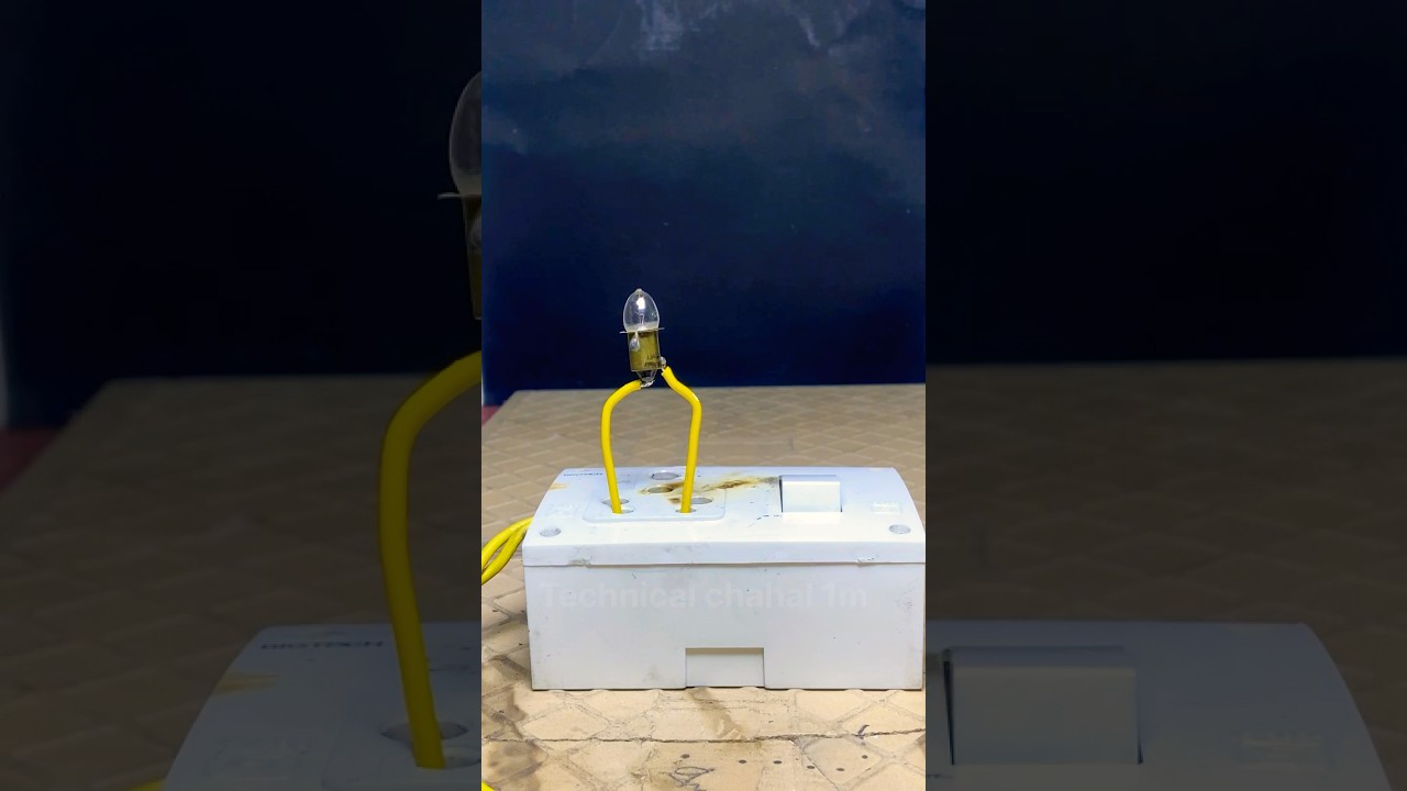 5 watt torch light bulb vs 220 v ac current ⚡️ #electrical #science #experiment #ideas