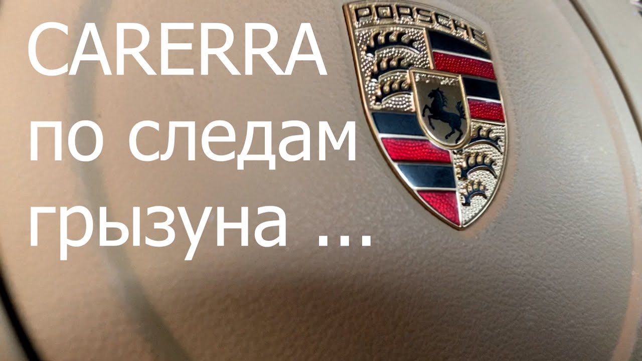 Carerra по следам грызуна