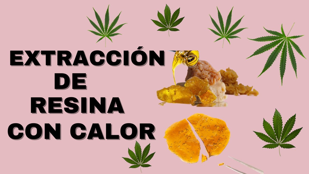 🔴 [ Extracci&oacute;n de resina con calor ] - Expocannabis Argentina 2021