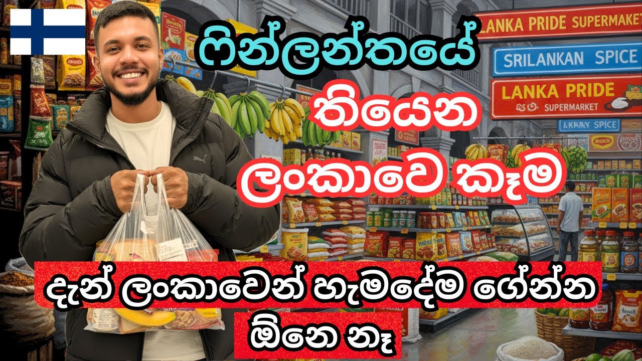 ලංකාවෙ කඩේකට බඩු ගන්න ගියා | -20 සීතල අව්ව දවසක් | Grocery Shopping 🇫🇮 